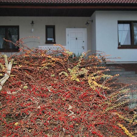 Pokoje Nad Mlynem Стрыкув Экстерьер фото